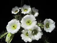 IMG_2994 - Kopie.webp