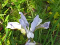 006_1024x768.webp