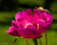 IMG_9199.webp