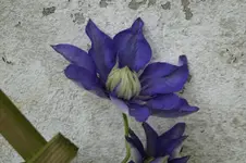 _DSC5808.webp