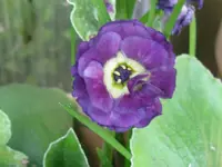 001_1024x768.webp