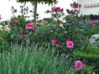 DSC01405.webp