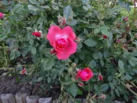 DSC01399.webp