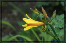 comp_DSC01408.webp