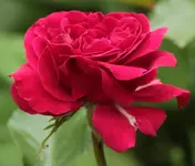 unsicher 140521_1.webp