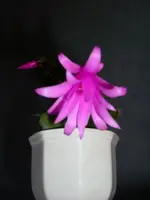 DSCI2504.webp