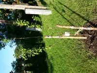 20140520_073141.webp