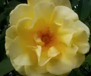 2014-05-21 18.26.21.webp