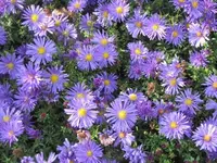 076.webp