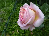P1090021.webp