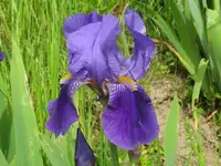 003_1024x768.webp