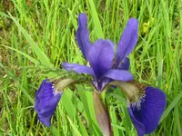005_1024x768.webp
