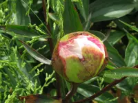 010_1024x768.webp