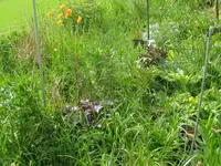006_1024x768.webp