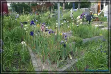 comp_DSC01430.webp