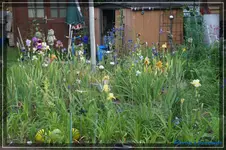 comp_DSC01438.webp