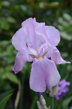 DSC_1469.webp