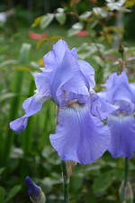 DSC_1470.webp