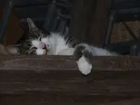 DSCF3522.webp