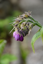 DSC_1422.webp