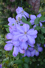 DSC_1431.webp