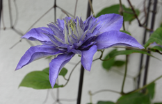 DSC_1453.webp