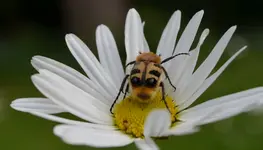 wer bist du.webp