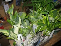 029_1024x768.webp