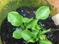teaspoon_1024x768.webp