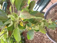 image.webp