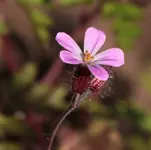 unknown 140523.webp