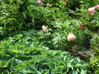SAM_4104.webp