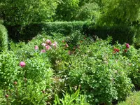 SAM_4109.webp