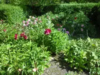 SAM_4110.webp