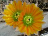 IMG_2644 - Kopie.webp