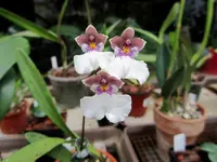 IMG_3028 - Kopie.webp