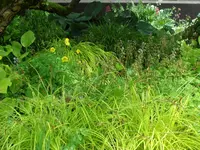 SAM_4096.webp
