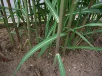 DSCF6522.webp