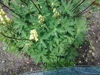 20140524_140419.webp