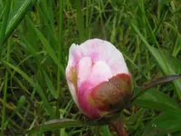 009_1024x768.webp