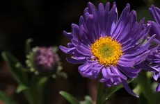 Namenlos 140524.webp