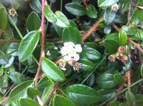 Foto 2(4).webp