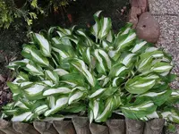 DSC01506.webp