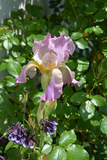 DSC_1504.webp
