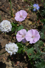 DSC_1508.webp