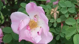 050.webp