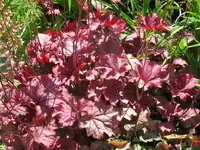 005_1024x768.webp