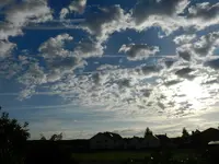 DSCN6893.webp