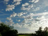 DSCN6896.webp