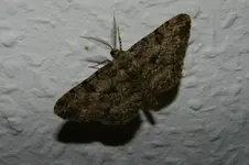 DSCN6885.webp
